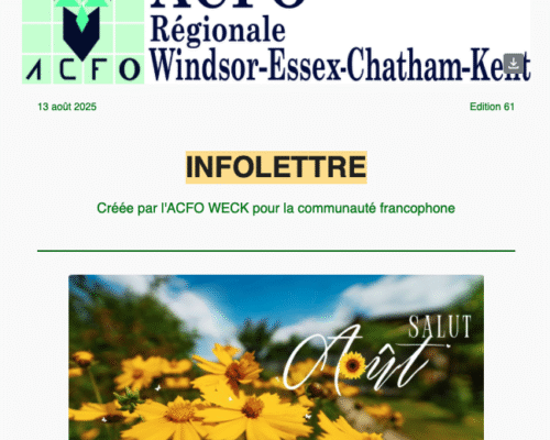 Capture d’écran, le 2025-08-26 à 21.35.38